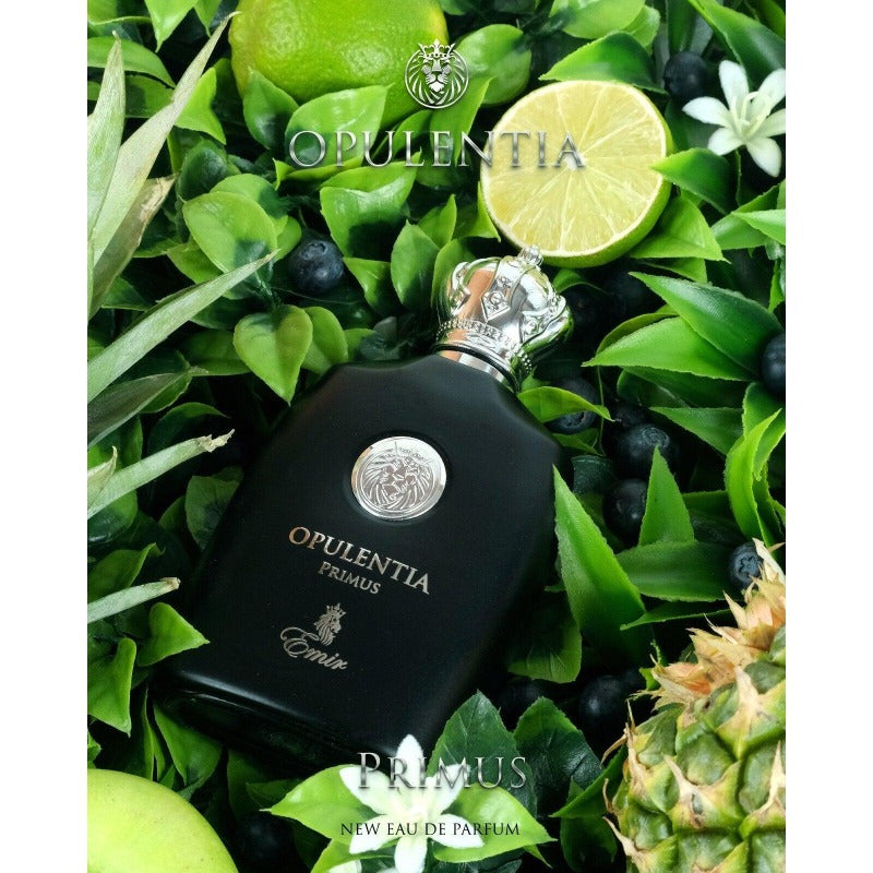 Emir Opulentia Primus acqua profumata per uomo 100ml - Royalsperfume EMIR All