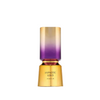 Hypnotic Gold di French Avenue EDP 100ml