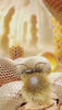 Honeyed Fantasy di Pendora Scents EDP 100ml